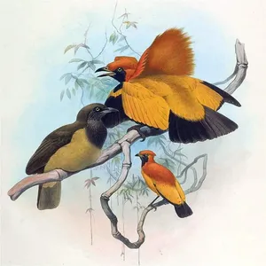 Oiseaux jaunes tropicaux marbre carreaux de céramique murale cuisine salle de bain mur dosseret - Product Image 1