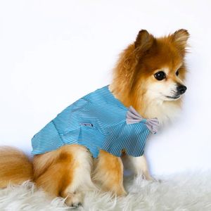 Abrigo Impermeable Para Perros Invierno | Chaqueta Cálida Con Cremallera Y Anilla Para Correa – Azul (5 Tallas)