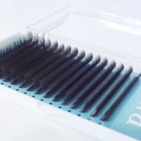 Extensions de cils personnalisées avec logo, faites à la main, en fibre HY LON, 8-15 mm, classiques, de haute qualité, 0,15 mm, volume complet premium
