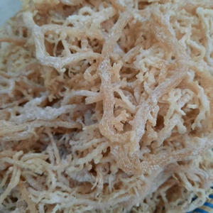 Wholesale Seasoned Dried Eucheuma Cottonii Seaweed High Carrageenan Yield <b>Natural</b> and Sustainable Packaged in Bag - Product Image 4