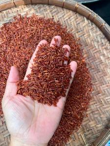 ข้าวแดงเวียดนาม/ขายส่ง - Product Image 2