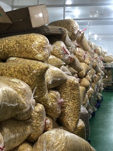 ขนุนเวียดนามแบบแห้ง99GD รสชาติคุณภาพสำหรับผู้ซื้อทั่วโลก - Product Image 3