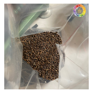 Vente en gros de graines de papaye séchées pour tisane, graines de papaye carica nettoyées séchées | Graines de papaye naturelles pour l'exportation et le vrac - Product Image 4