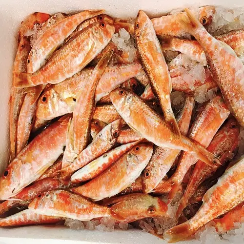 Vente en gros ronde élevage en mer poisson Tilapia rouge vivant ferme de Tilapia congelé meilleur poisson en gros