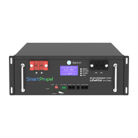Baterai LiFePO4 10kWh 51.2V 200Ah untuk Rak Server, Penyimpanan Energi Surya Rumah, Baterai Lithium yang Dipasang di Rak