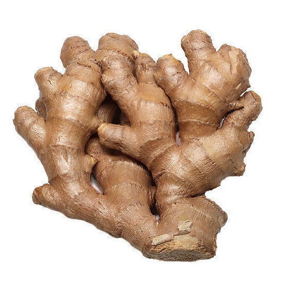 Ginger fresh ginger export with high quality