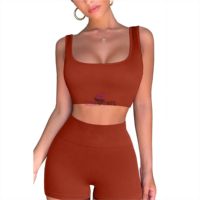 Ensemble de Yoga sans couture pour femmes, gilet d'été, soutien-gorge de Sport, taille haute, Leggings moulants, Push Up, costume de Fitness, ensembles Shorts