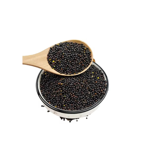 เมล็ดคาโนลาที่สะอาดและให้คะแนนสำหรับโรงงานผลิตน้ำมันและผู้ค้า - Product Image 6