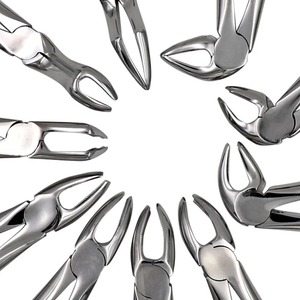 Alicates de Acero Inoxidable para Extraer Raíces de Dientes, Elevador con Kit, Herramientas de Dentista, Juego de Fórceps para Niños y Adultos, Venta Al por Mayor - Product Image 5