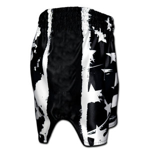 Sublimación de alta calidad Muay Thai Shorts Transpirable Muay Thai Shorts Venta caliente Muay Thai Shorts - Product Image 2