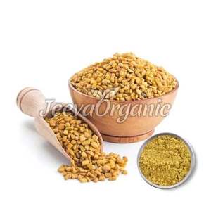 Extrait de graines de fenugrec biologique de haute qualité, poudre, directement de l'usine, bonne qualité, extrait de plante en vrac - Product Image 1