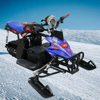 Motoneige électrique 48V 800W 20Ah pour adultes, véhicule hivernal avec affichage du niveau de la batterie, véhicule de loisirs en plein air
