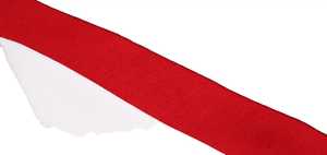 Short en molleton de sport en coton vierge solide pour hommes avec logo personnalisé vente en gros de shorts en polaire décontractés pour la course à pied d'été pour hommes - Product Image 3