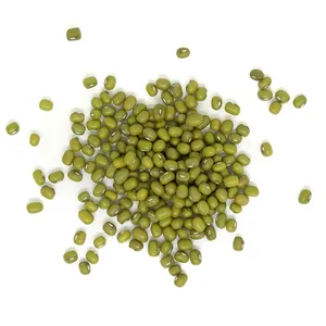수출 대량 신선한 새로운 작물 iqf 껍질을 벗긴 원시 녹색 냉동 넓은 콩 호주 판매