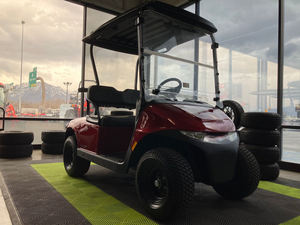 Carrito de golf E-Z-G-O V-A-L-O-R G-A-S 2025 de calidad premium disponible para suministro al por mayor - Product Image 2