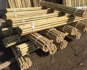 Poteaux de bambou écologiques | Bâtons de bambou traités naturels bruts pour piquets de jardin, fournisseur en gros en vrac de décoration de maison d'escrime - Product Image 6