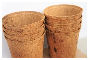 Revestimiento de coco natural Maceta de fibra de coco Cesta colgante Jardín de 99 Gold Data Vietnam con alta calidad - Product Image 3