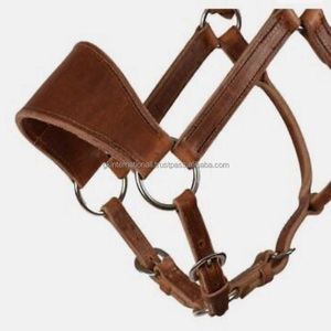 Produits équestres sur mesure, licou de cheval en cuir fait à la main par un concepteur d'anatomie dans toutes les tailles personnalisées avec des raccords en acier inoxydable - Product Image 5