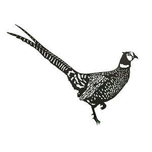 Trending Design Garden Premium Quality Garden <b>Stakes</b> <b>for</b> Garden Vegetables Fruits Labeling Usage <b>Metal</b> Craft <b>Stakes</b> - Product Image 3