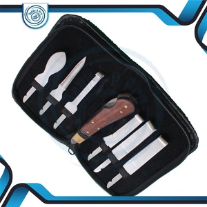 Kit de Herramientas Profesionales para el Cuidado de Pezuñas de Caballos, Juego de Herramientas de Acero Inoxidable para Recortar Pezuñas con Estuche de Transporte, Certificación CE ISO DDP - Product Image 4