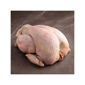 Dindes entières halal congelées biologiques de haute qualité en vrac pour la vente en gros - Product Image 4