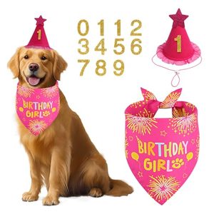 Chapeau et Bandana <span class=keywords><strong>Anniversaire</strong></span> pour Animaux de Compagnie – Ensemble Durable Rose & Bleu Taille XL pour Chiens et Chats, Utilisation Intérieure et Extérieure - Product Image 2