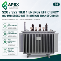 Transformateur de distribution immergé dans l'huile à haute efficacité APEX S20/S22 Tier 1 50-2500 kVA 11 kV/33 kV vers 400/415 V IEC 60076 IEEE C57