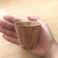 Pot Serat Kelapa Ramah Lingkungan Grosir untuk Kebun Rumah, Pot Tanam dengan Lubang Drainase dan Sistem Penyiraman Otomatis, Ringan, Ukuran Kustom, Buatan Vietnam