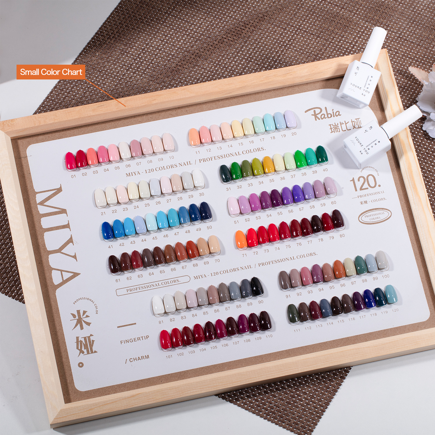 Set di smalti gel con mini cartella colori.