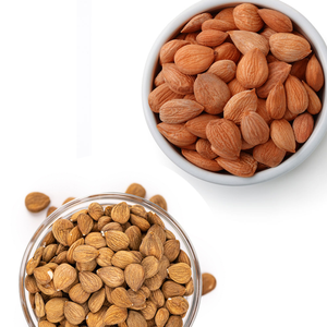 เมล็ดแอปริคอท | พันธุ์ขมและหวานมีให้สำหรับการส่งออก - Product Image 6