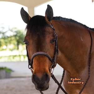 Brida de cuero de caballo Nuevo estilo inglés Brida de doma Piel de vaca genuina Caballo Headstall Cuero Premium para productos de caballo - Product Image 4