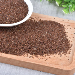 สุพีเรีย Hygrophila ซาลิซิโฟเลียในปริมาณมากเตรียมส่งออกจากเวียดนาม - Product Image 5