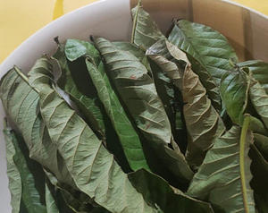 FEUILLES DE GOYAVE SÉCHÉES TOUT NATURELLES/POUR THÉS AUX HERBES ET SOINS DE BRICOLAGE/FABRIQUÉ AU VIETNAM - Product Image 4