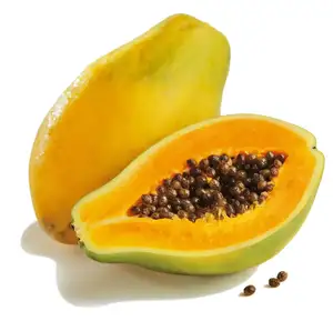 premium export standard fresh papaya/ Fresh Papaya from Turkey