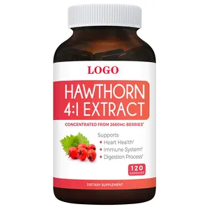 OEM MOQ 800 Hawthorn Berry Kapsel für kraftvolles Antioxidans Gesunder Blutdruck und Kreislauf Herz-Kreislauf-Immun verstärkung
