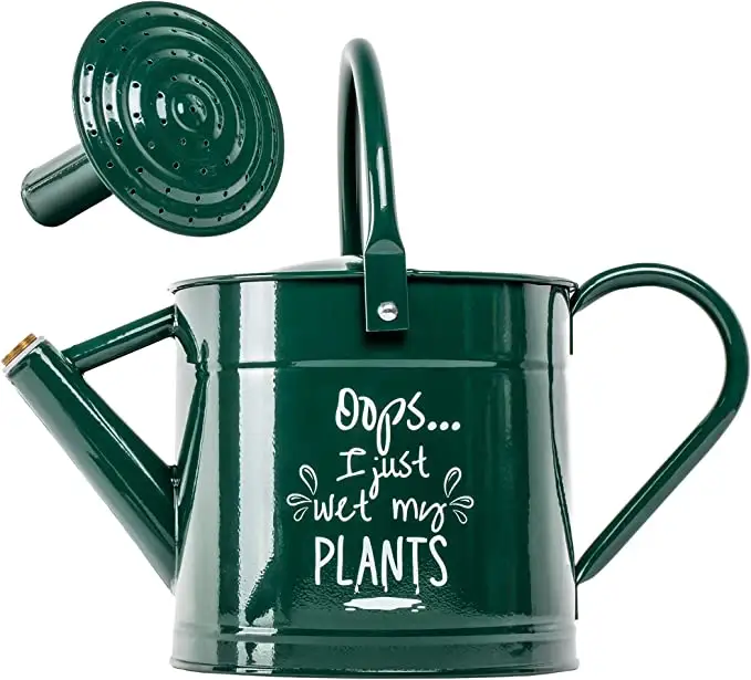 New Iron Watering Can Metal Watering Can Copper Accents with Anti-Rust Powder Coating for Gardening In Green Color