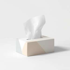 Boîte de mouchoirs en papier Ruby écologique, 2 plis, doux, en pâte de bois vierge, emballage personnalisé, vente en gros pour la maison - Product Image 1