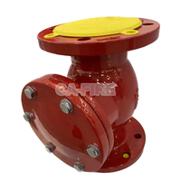 Clapet anti-retour à bride en fonte ductile DN50 CA-Fire pour systèmes d'alimentation en eau et protection incendie
