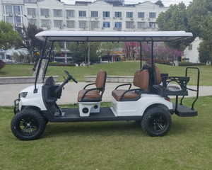 Carrito de Golf Eléctrico de Gran Tamaño, Nuevo Producto Más Vendido, 6+2 Plazas, para Adultos, Club Car, Entrega Rápida, Precio Bajo en Venta - Product Image 2