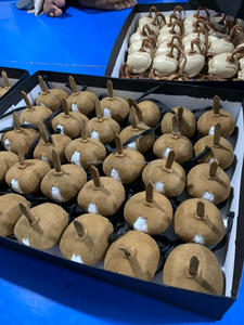 หมวก qatri หนังแท้สไตล์อาหรับเหยี่ยวเหยี่ยวเหยี่ยวอุปกรณ์สำหรับการล่าสัตว์ - Product Image 4