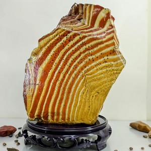 Bois pétrifié coloré - Product Image 1