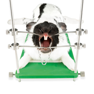 Écarteur buccal réglable et réutilisable pour lapins et rongeurs, petit spéculum vétérinaire pour animaux de compagnie - Product Image 3