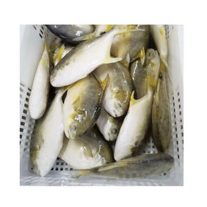 Pescado mantelado congelado de alta calidad, suministrado para compradores al por mayor con entrega rápida - Product Image 3