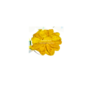 <b>Dried</b> <b>Mango</b> with Chili Salt 100% From Fresh <b>mango</b> Non Gmo Healthy Snack 2024 - Product Image 6