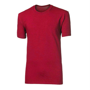 Venta al por mayor 100% algodón camiseta casual Gráfico de punto de manga corta transpirable respetuoso del medio ambiente Transferencia de Calor impreso camiseta de los hombres - Product Image 5