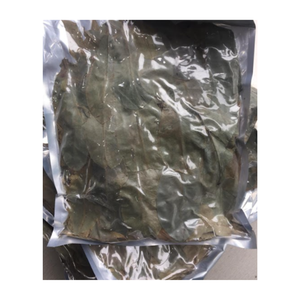 Meilleure offre de feuilles de Graviola séchées du Vietnam pour faire du thé feuilles de corossol séchées fraîchement avec un prix compétitif pour l'exportation - Product Image 5