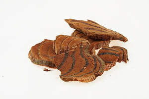 SUPERVENTAS AL POR MAYOR CAULIS SPATHOLOBI EXTRACTO DE HIERBAS NATURALES DE CALIDAD PREMIUM OFERTA CALIENTE SUMINISTRO A GRANEL LISTO PARA EXPORTAR - Product Image 2