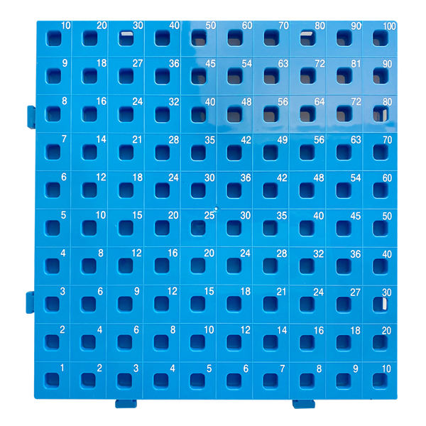Blue (AB322) Multiplication board