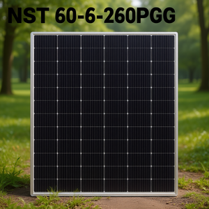 แผงโซลาร์เซลล์ NST 60-6-260PGG - Product Image 3