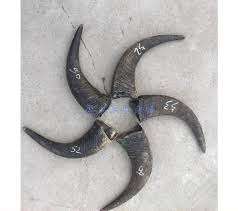 Custom Size and Logo <b>Buffalo</b> <b>Horn</b> Pair High Quality Antique Design From India Carved Animal Style - Product Image 3